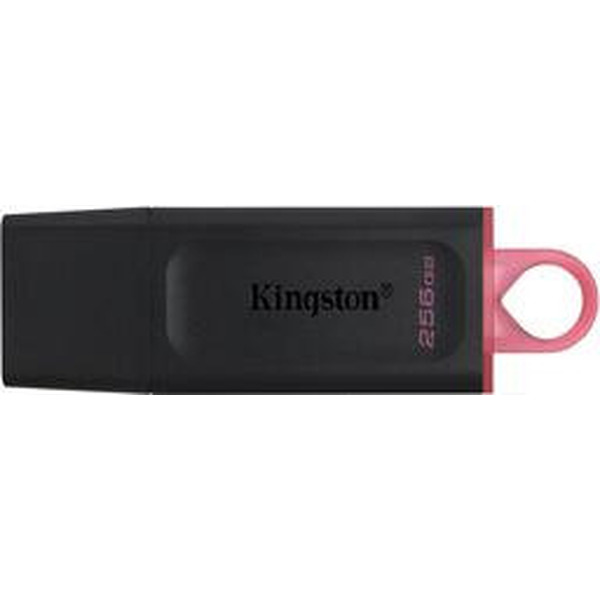 USB-флеш Kingston DataTraveler Exodia 256GB (DTX/256GB)