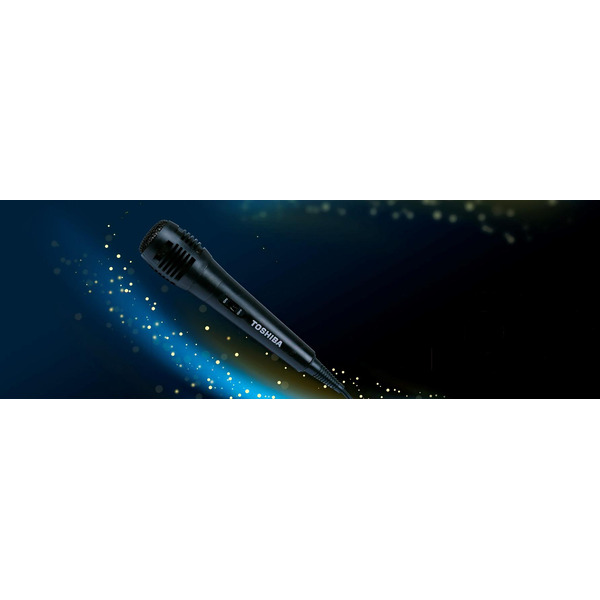 Колонка для вечеринок Toshiba TY-ASC66