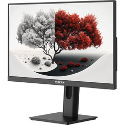 Монитор RDW Computers 2401K/F00B3100V2A1H