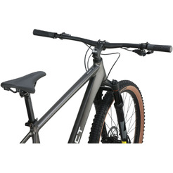 Велосипед Aspect Big Boy 29 XXL 2026 (серый)