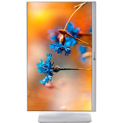 Моноблок Тесла P24WP 2416500