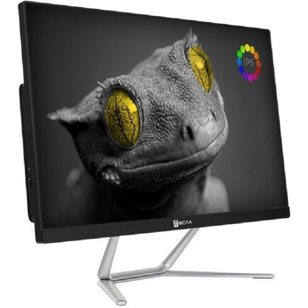 Моноблок Тесла Z24B 2416500