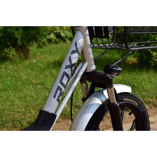 Электровелосипед Terax ROXY NS010