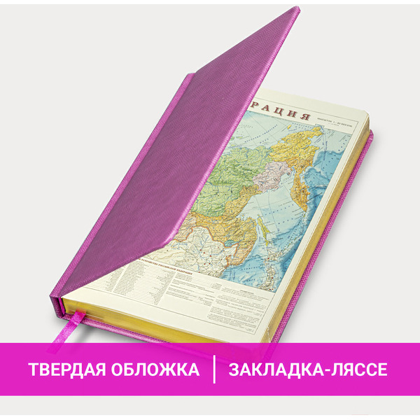 Ежедневник BRAUBERG недатированный Iguana 114456 (лиловый)