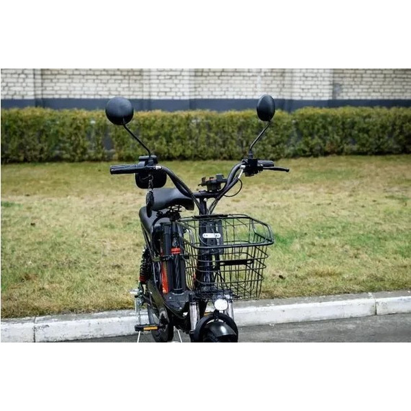 Электровелосипед AVM E-ALFA 20 Pro (черный)