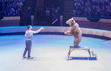 Фотофакт: мероприятие к 65-летию Фонда Мира в Белгосцирке