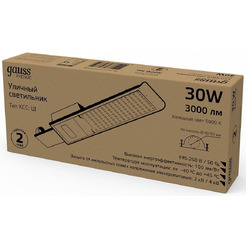 Светильник консольный Gauss 629534330