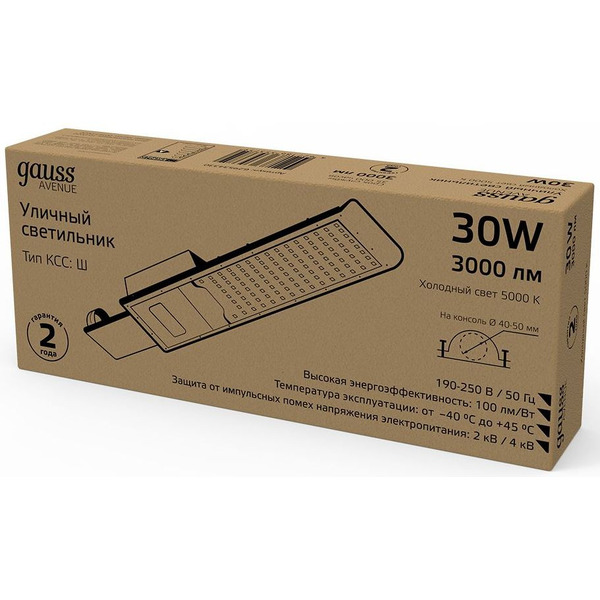 Светильник консольный Gauss 629534330