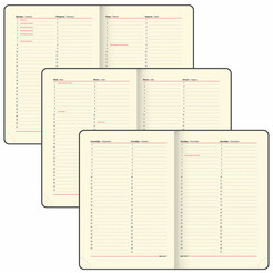 Ежедневник BRAUBERG недатированный Status 113359 (темно-синий)