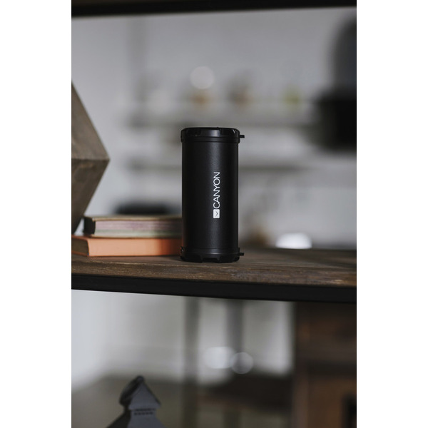 Портативная колонка Canyon CNE-CBTSP5