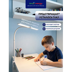 Светильник TRUENERGY TASK 29553