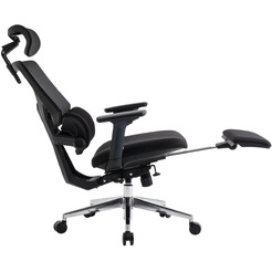 Кресло компьютерное EVOLUTION LumbarPro FR AL