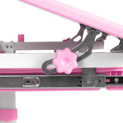 Парта+стул Anatomica Avgusta с выдвижным ящиком, подставкой и светильником (белый/розовый)