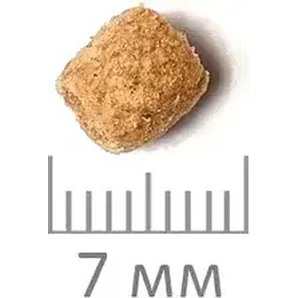 Сухой корм для кошек ProBalance Immuno Protection с курицей и индейкой (8кг)