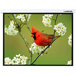 Проекционный экран Lumien Master Picture 305x305 LMP-100107