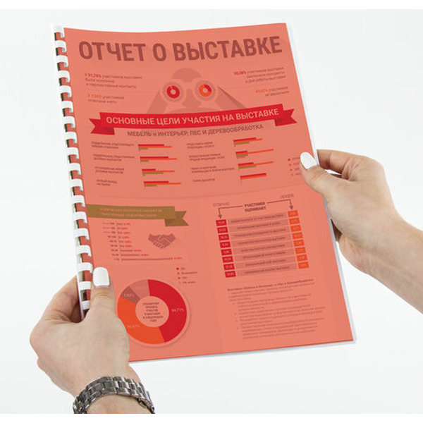 Пластиковая обложка для переплета BRAUBERG A4 200 мкм 100 шт 532161 (прозрачный/красный)