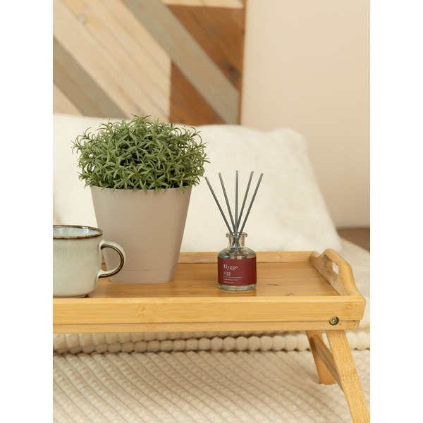 Аромадиффузор Arida Home Hygge №22 Персик и пион (100 мл)