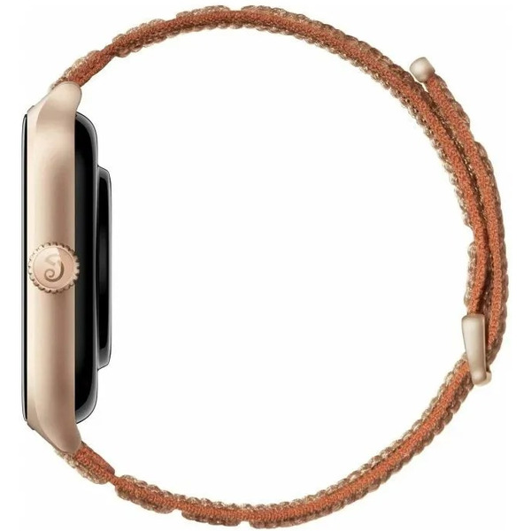 Умные часы Amazfit GTS 4 A2168 (коричневый)