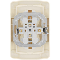 Розетка TDM Онега SQ1805-0047