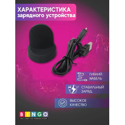 Зарядное устройство Bingo для SAMSUNG Galaxy Gear S3 (frontier/classic)