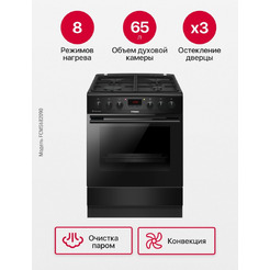Кухонная плита Hansa FCMS682090