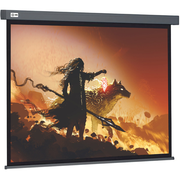 Экран Cactus CS-PSW-213X213-SG