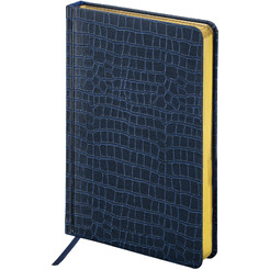 Ручка PARKER Jotter Core Stainless Steel GT (ежедневник А5 синий, пакет) 880889