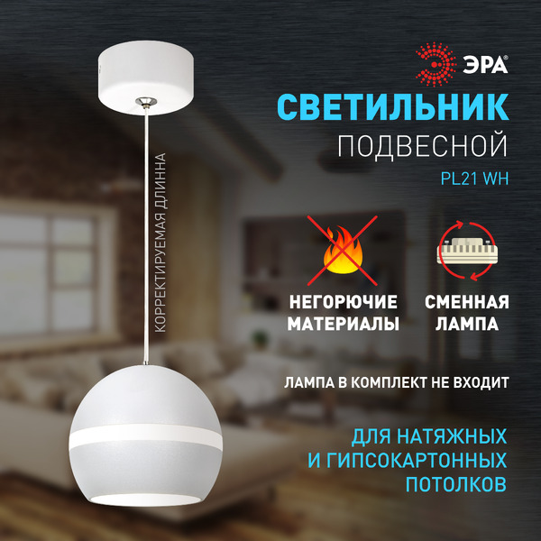 Потолочный светильник ЭРА PL21 WH GX53