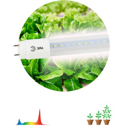 Фитолампа ЭРА FITO-9W-Ra90-Т8-G13-NL
