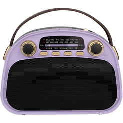 Радиоприемник Ritmix RPR-040 (лавандовый)