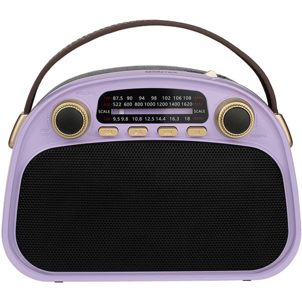 Радиоприемник Ritmix RPR-040 (лавандовый)