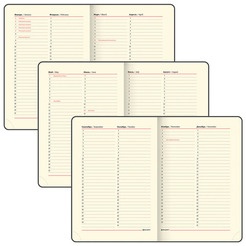 Ежедневник недатированный BRAUBERG Status 113362