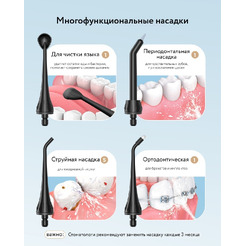 Ирригатор Fairywill F5020E (черный)