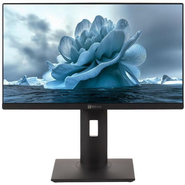 Моноблок ТЕСЛА P27BPQ 2116500