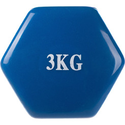 Гантель Sundays Fitness WD1453 (3кг, синий)