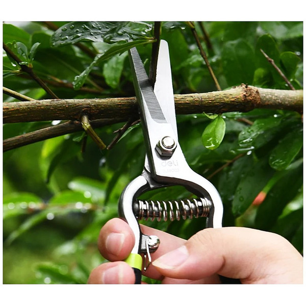 Ножницы садовые Deli EDL580421