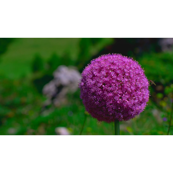 Телевизор LG 55UN73006LA