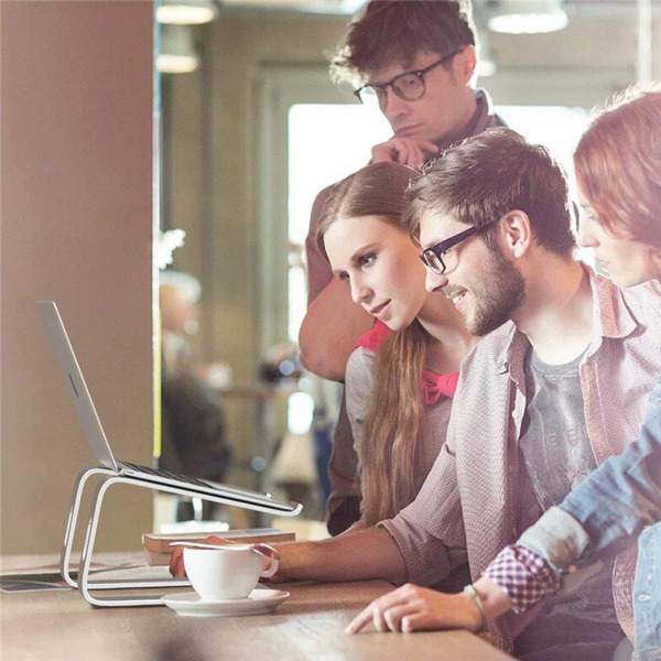 Подставка для ноутбука EVOLUTION LS103 (серебристый)