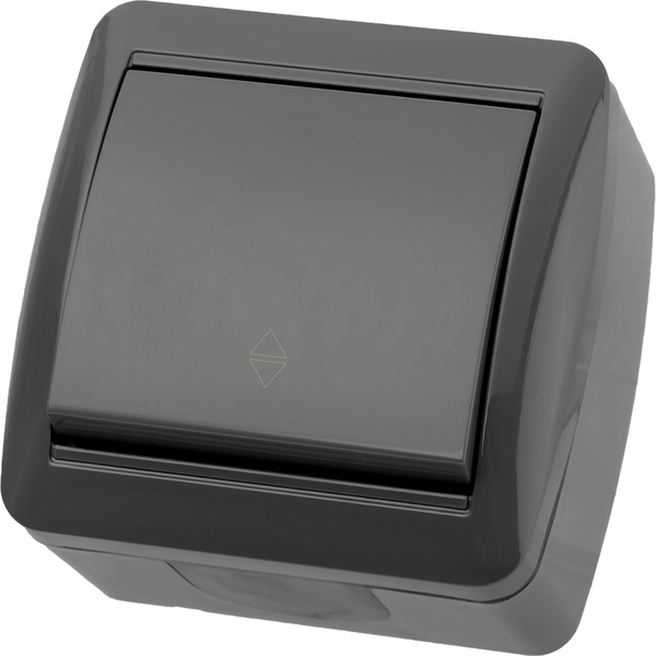 Выключатель TDM Селигер SQ1818-0111
