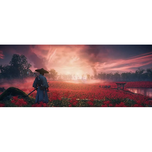 Игра Ghost of Tsushima Director’s Cut для PS4 [русская версия]