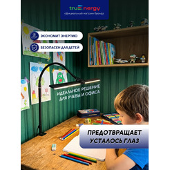 Светильник TRUENERGY TASK 29552