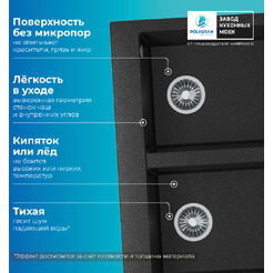 Кухонная мойка Polygran Brig 790 (черный)