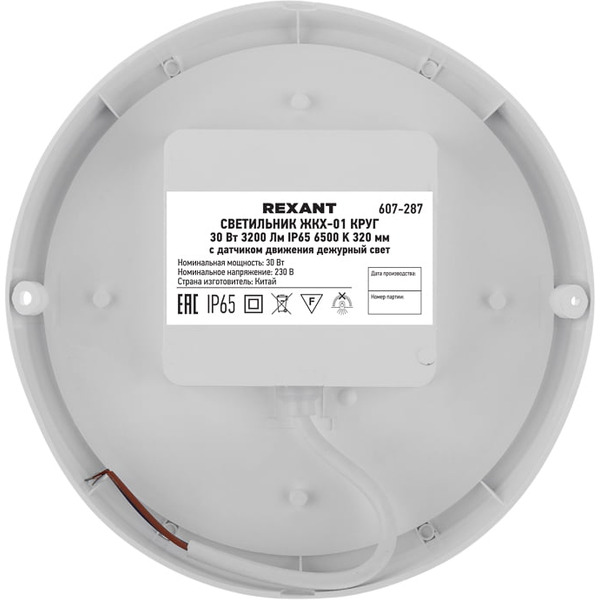 Светильник Rexant 607-287