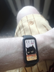 Умный браслет HUAWEI Band 10 (NOR-B19) черный