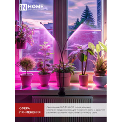 Светильник настольный на прищепке светодиодный IN HOME СНП-Т2-ФИТО 2П20 красно-синий (4690612053530)