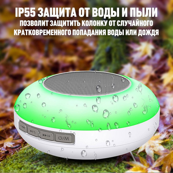 Беспроводная колонка Evolution X1