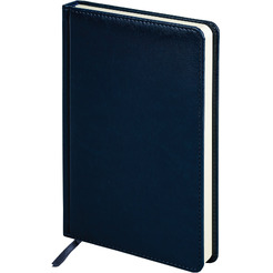 Ручка PARKER Jotter Plastic CT (корпус синий, ежедневник А5 синий, пакет) 880896