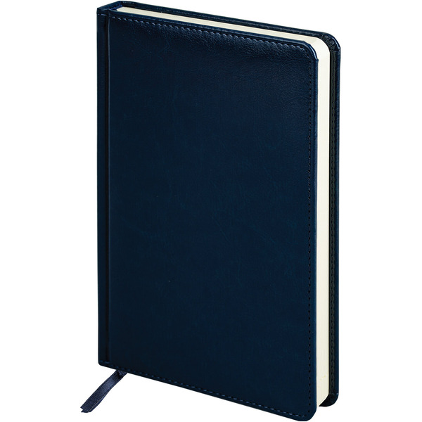 Ручка PARKER Jotter Plastic CT (корпус синий, ежедневник А5 синий, пакет) 880896