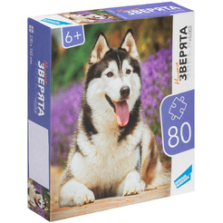 Пазлы DREAM MAKERS Зверята RI8002C