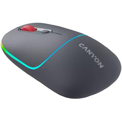 Мышь Canyon MW-22 (CNS-CMSW22DG) темно-серый